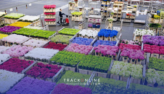 Royal FloraHolland kiest voor TrackOnline